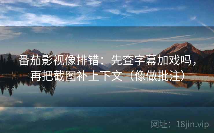 番茄影视像排错：先查字幕加戏吗，再把截图补上下文（像做批注）