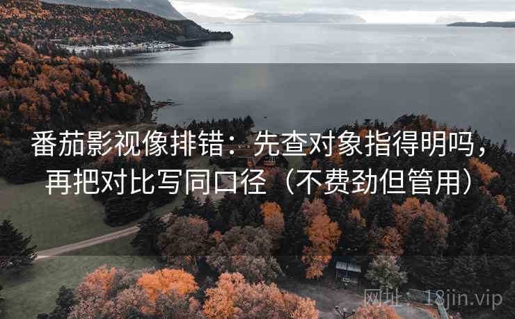 番茄影视像排错:先查对象指得明吗,再把对比写同口径(不费劲但管用)